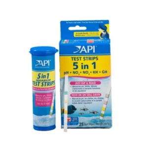 Test API 5 en 1