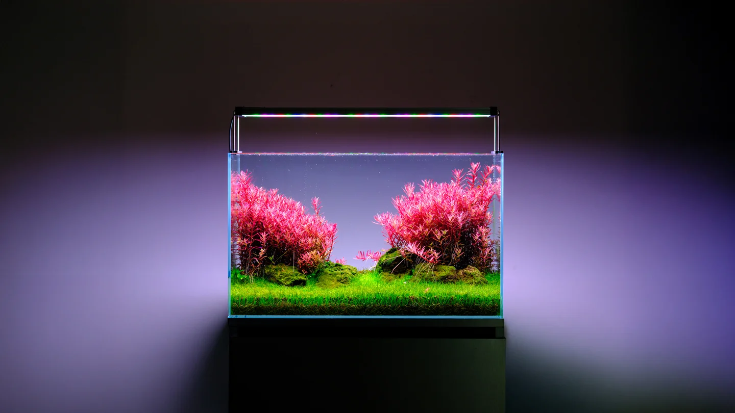 Acuario plantado iluminado con Twinstar, imagen del fabricante