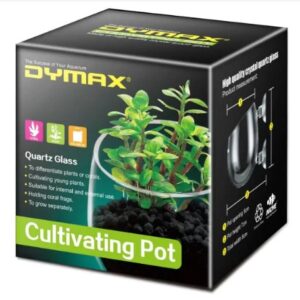 Maceta de vidrio cultivador